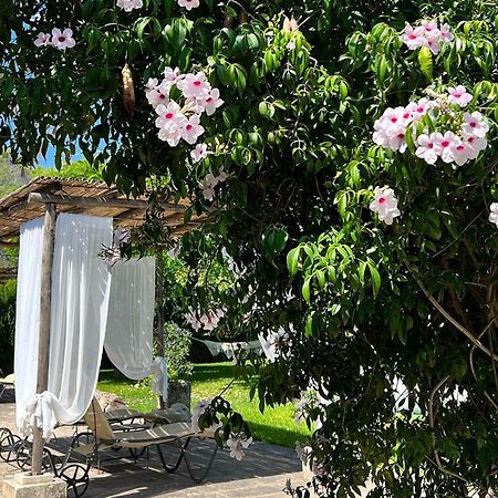 Masseria Casina Montana Corigliano dʼOtranto 外观 照片