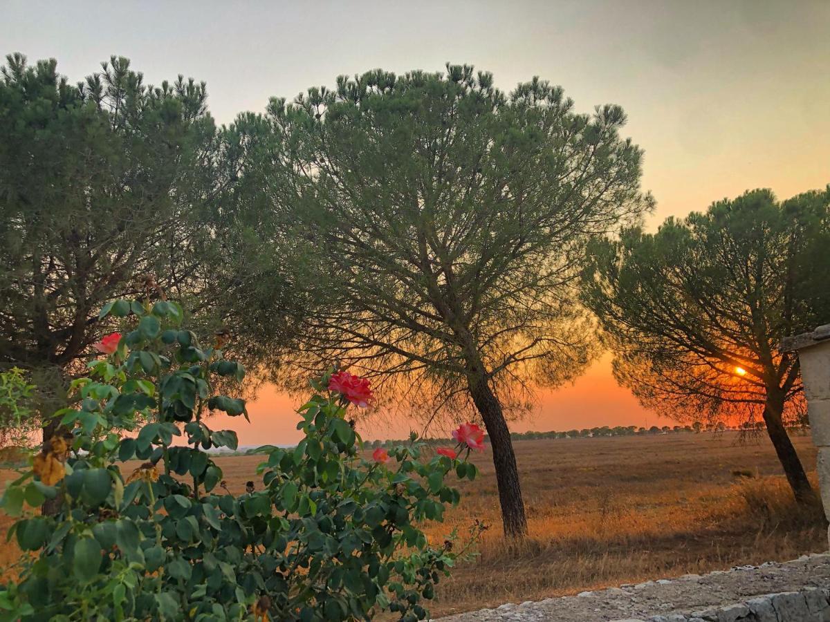 Masseria Casina Montana Corigliano dʼOtranto 外观 照片