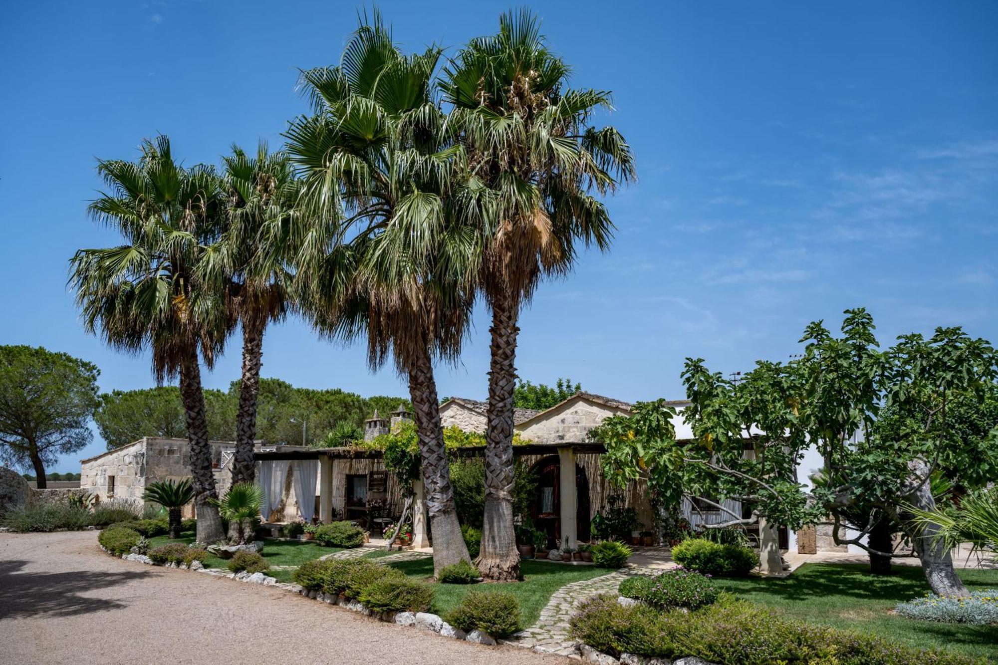 Masseria Casina Montana Corigliano dʼOtranto 外观 照片