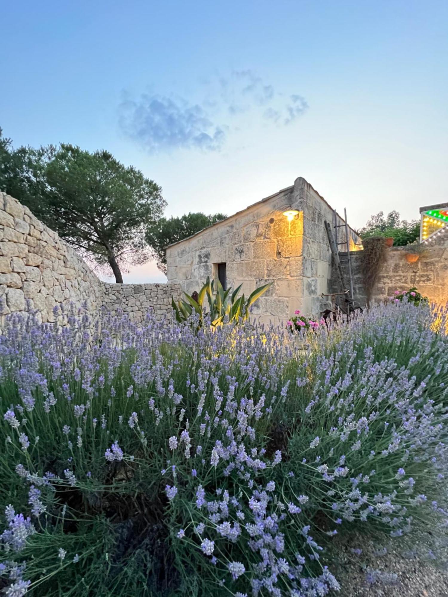 Masseria Casina Montana Corigliano dʼOtranto 外观 照片
