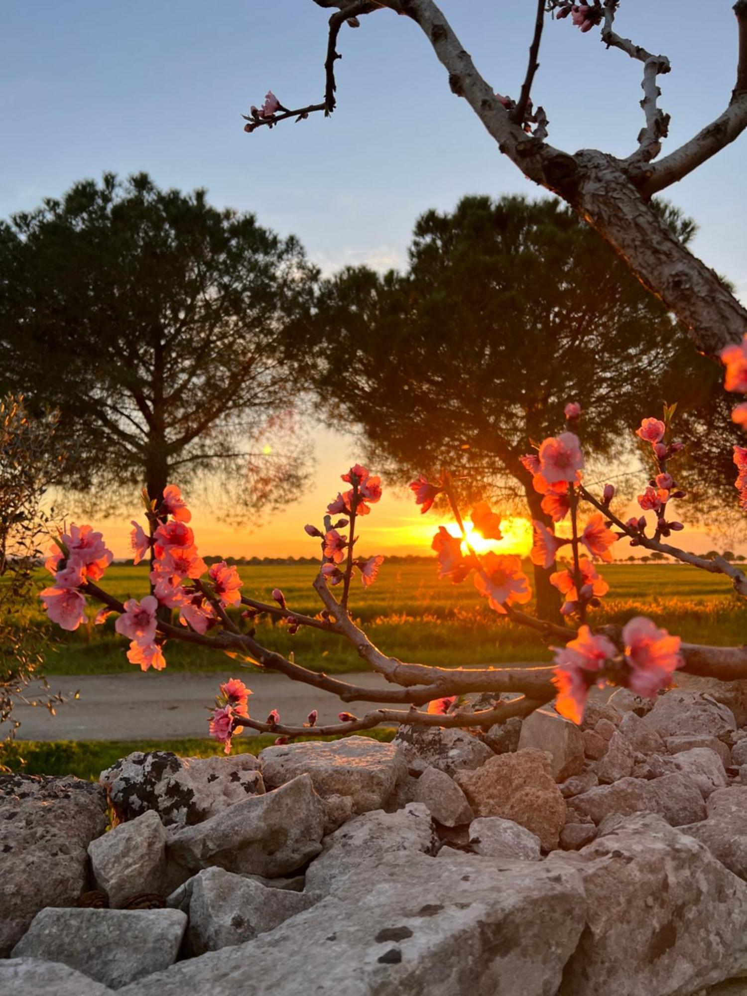 Masseria Casina Montana Corigliano dʼOtranto 外观 照片