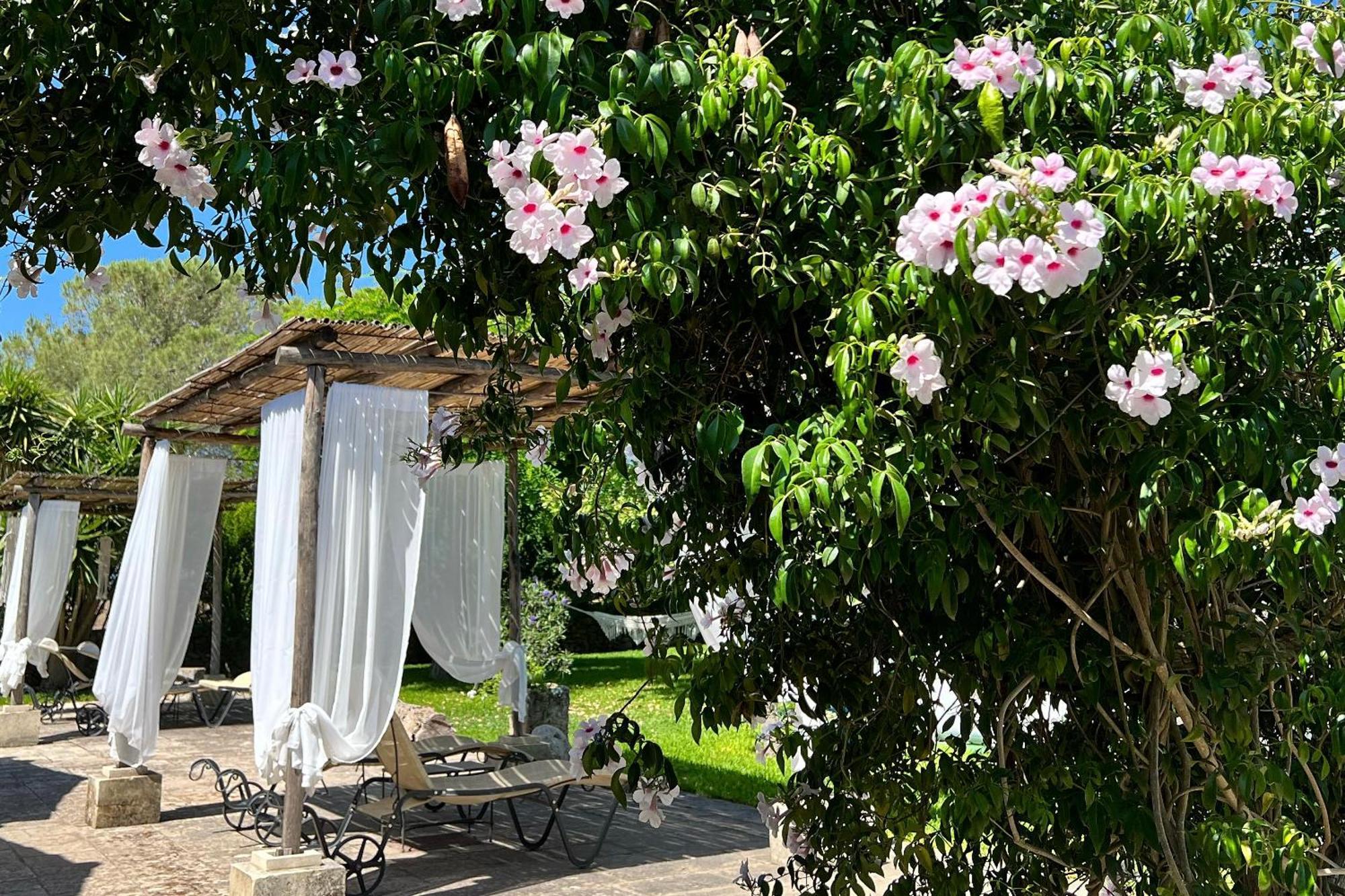 Masseria Casina Montana Corigliano dʼOtranto 外观 照片